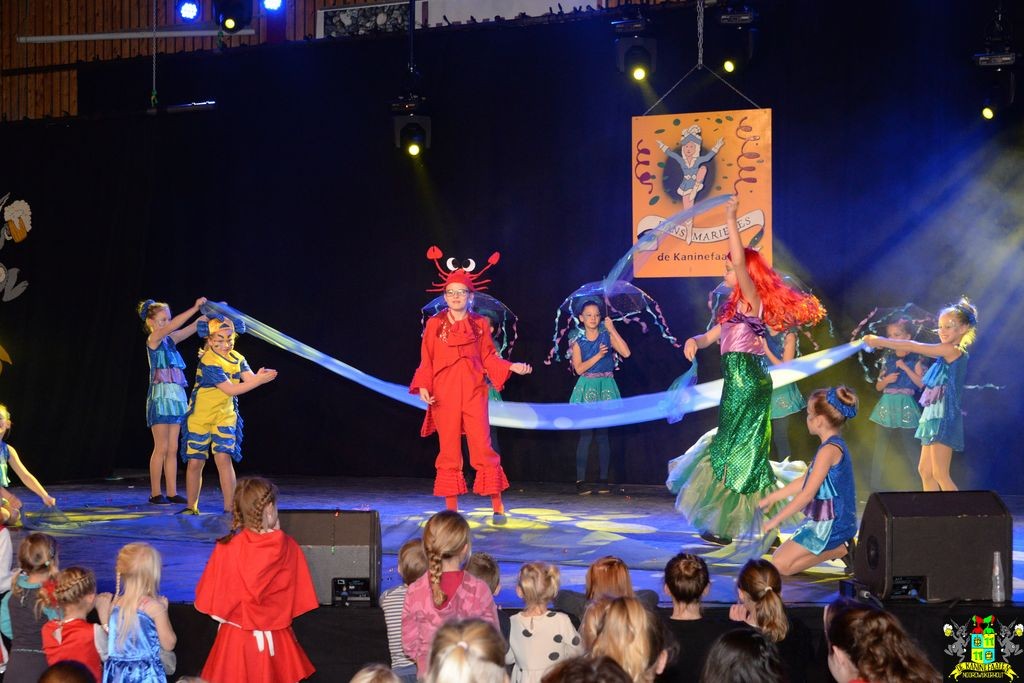 ../Images/Dansmarieke festival 2018 251.jpg